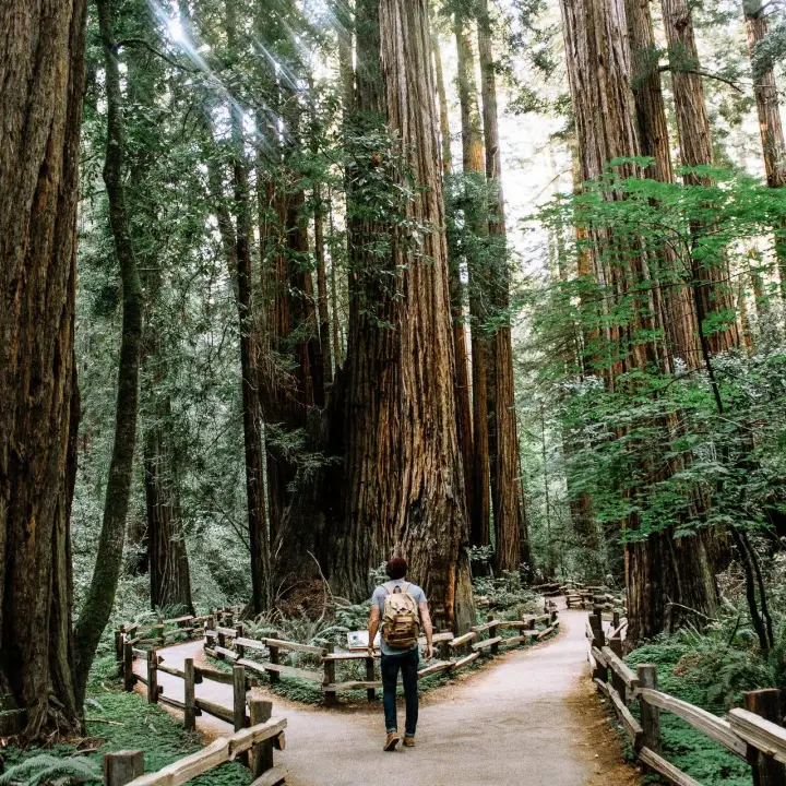 GetYourGuide outdoor experience gift